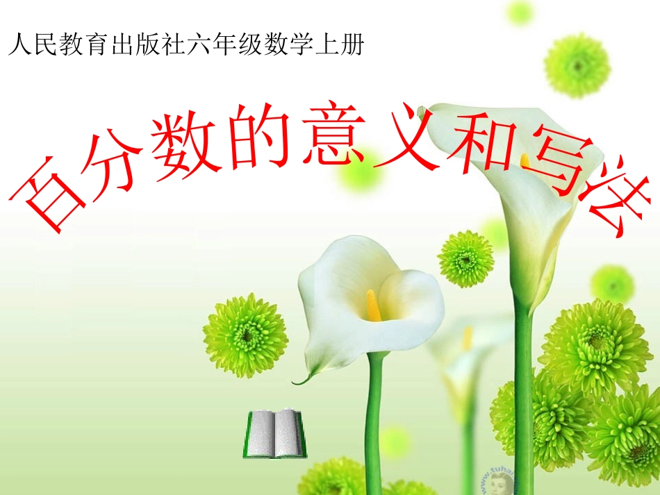 百分数1111_第1页