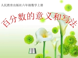 百分数1111