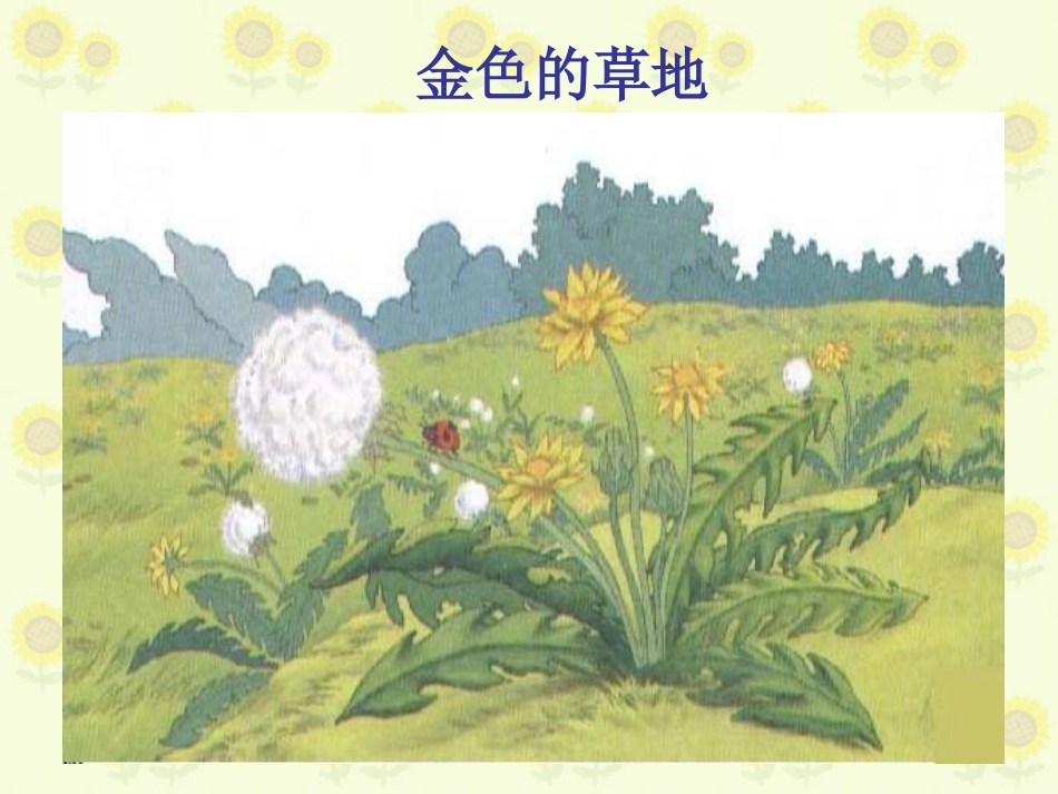 北师大版_---《金色的草地》PPT_第1页