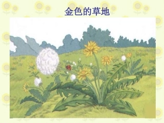 北师大版_---《金色的草地》PPT