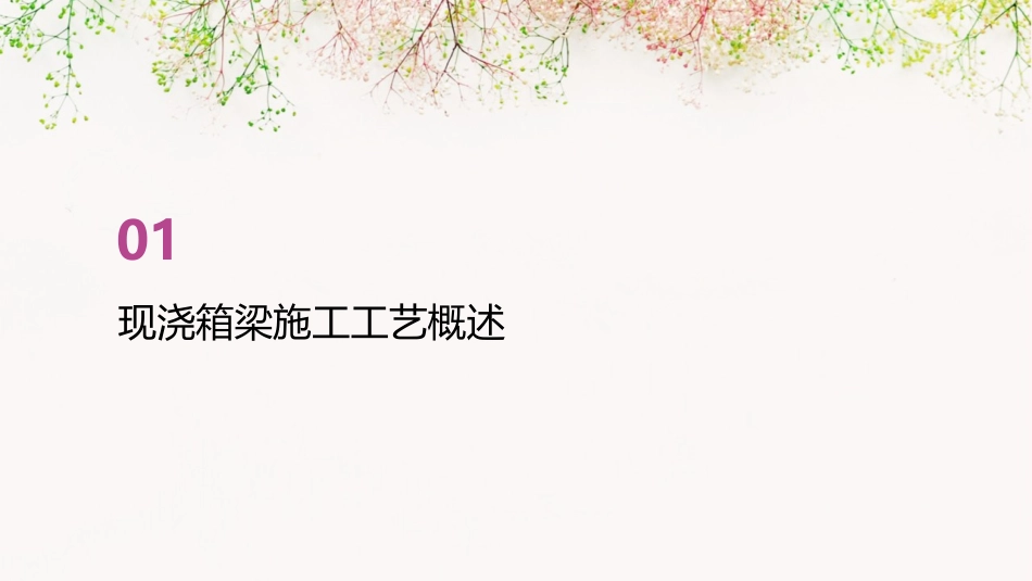 现浇箱梁施工工艺讲解课件_第3页