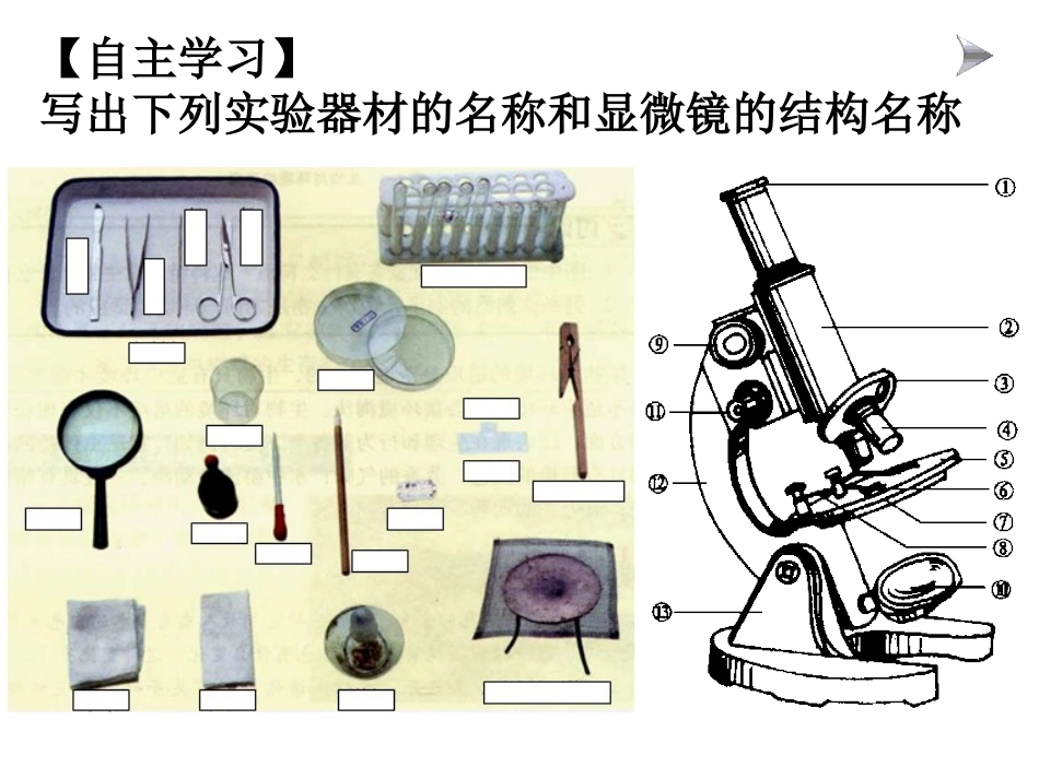 走进我们的生物实验室_第2页