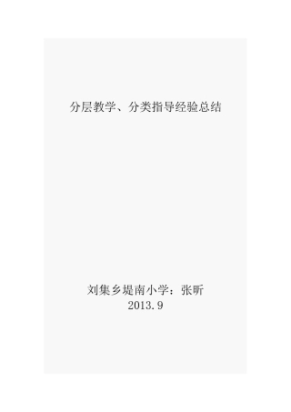 分层教学总结