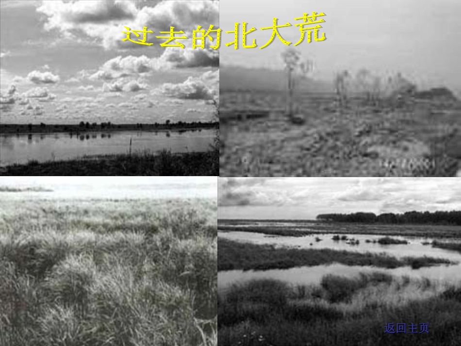 教研课北大荒的秋天_第3页