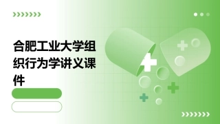 合肥工业大学组织行为学讲义课件