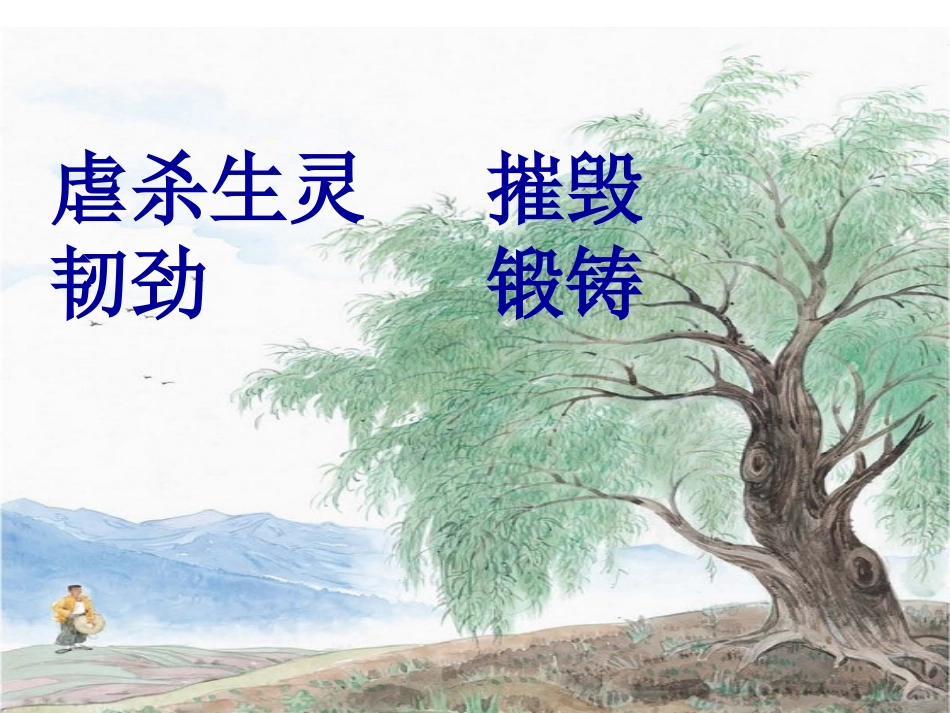 青海高原一株柳PPT_第2页