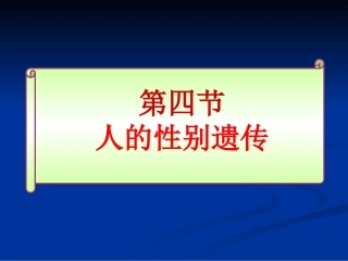 人的性别遗传课件