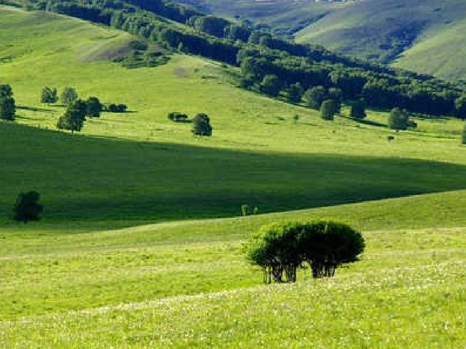 草原的早晨 (3)_第1页