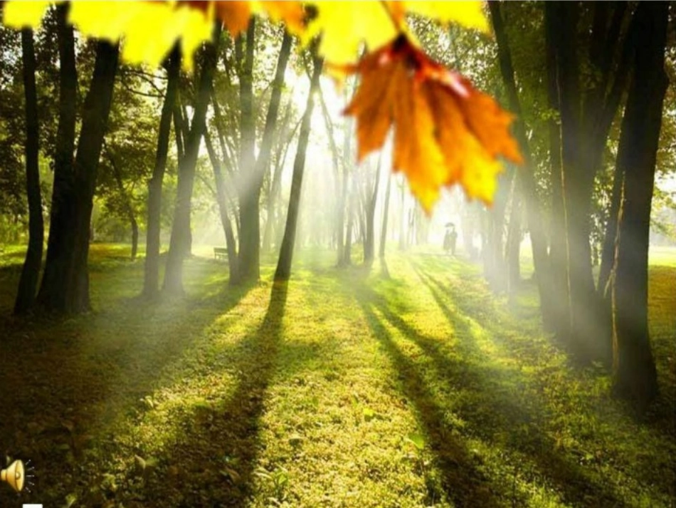 《给奶奶送阳光》_第2页