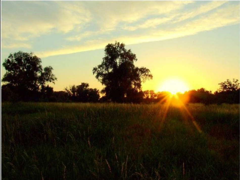 《给奶奶送阳光》_第3页