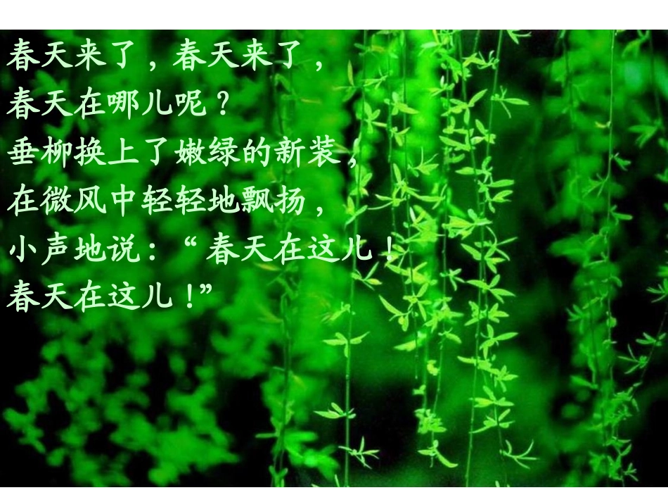 春天的秘密 (2)_第3页