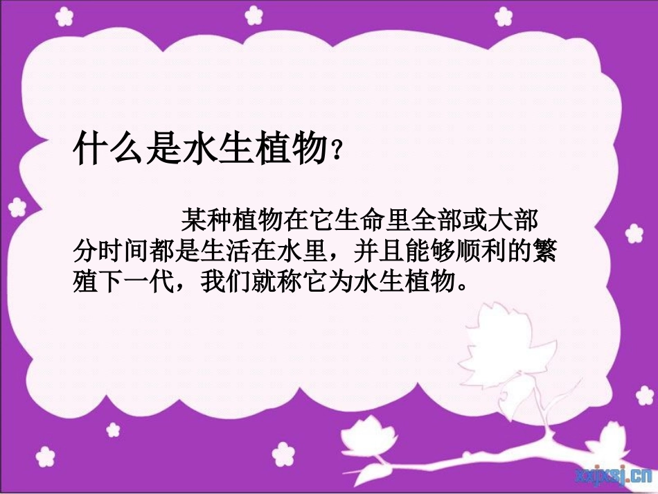 水生植物课件_第2页