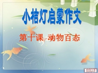 第十课动物百态