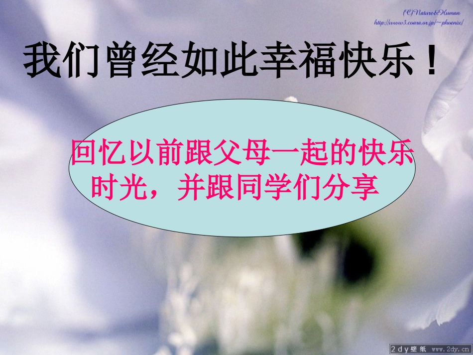 “感恩父母”主题班会_第3页