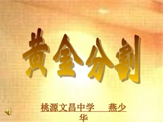 黄金分割开课