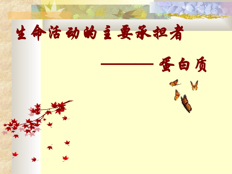 生命活动的主要承担者蛋白质课件人教版必修I_第2页