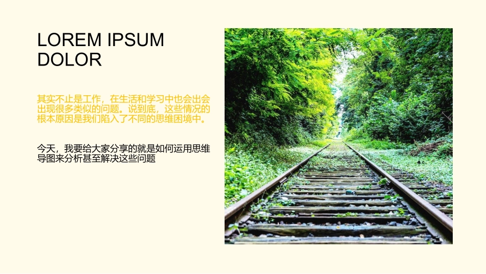 思维导图入门_第3页