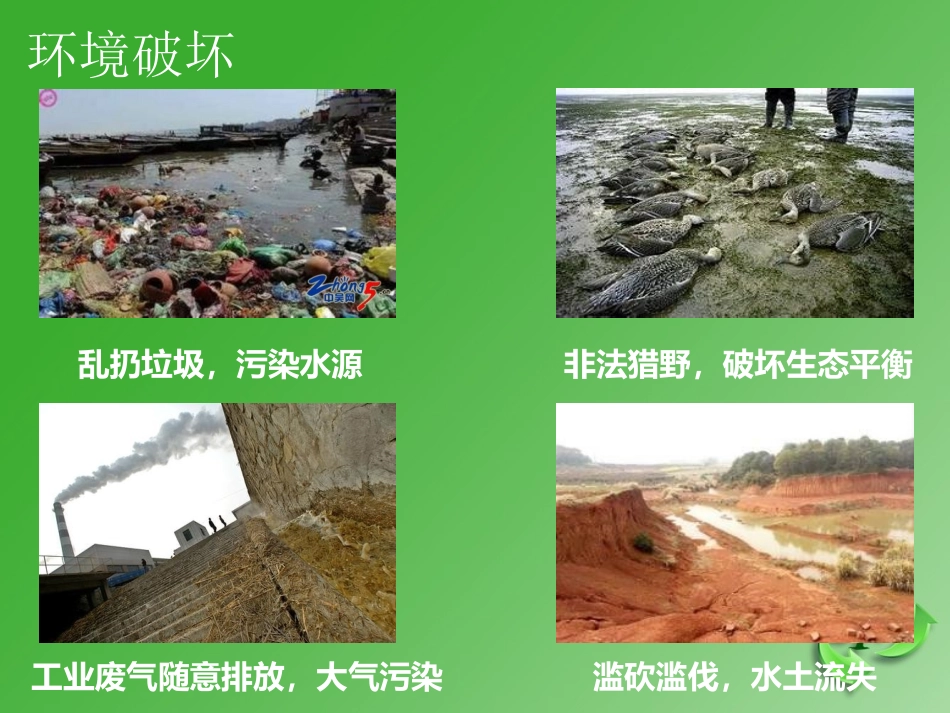 绿色环保主题PPT模板_第2页