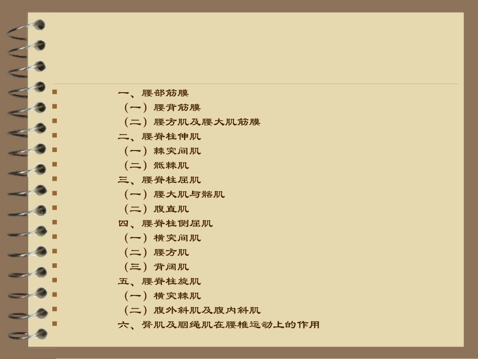 腰部筋膜和肌肉_第2页