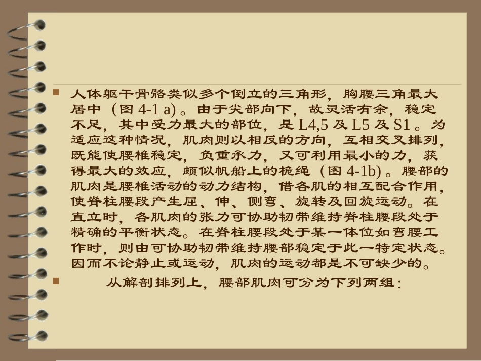 腰部筋膜和肌肉_第3页