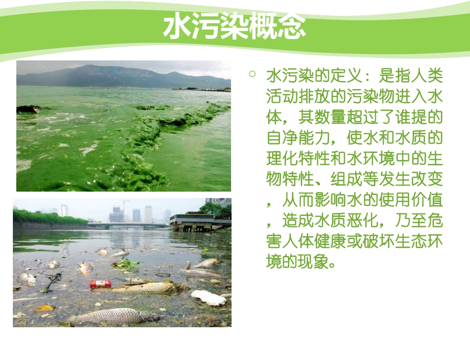 环境法水污染ppt_第2页