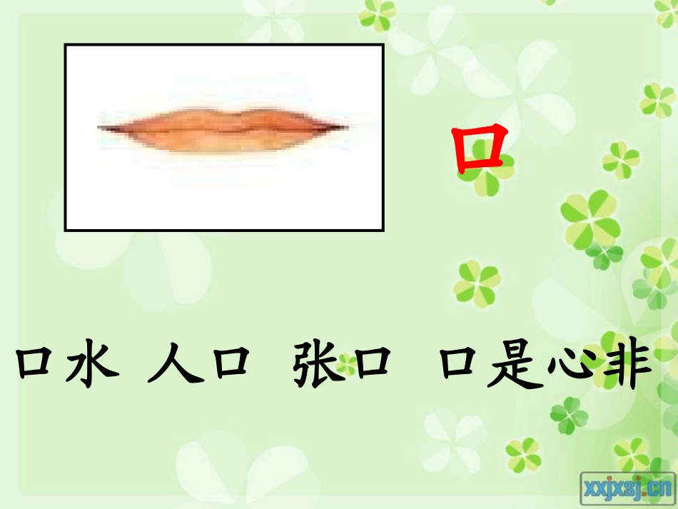 认一认1 (3)_第3页