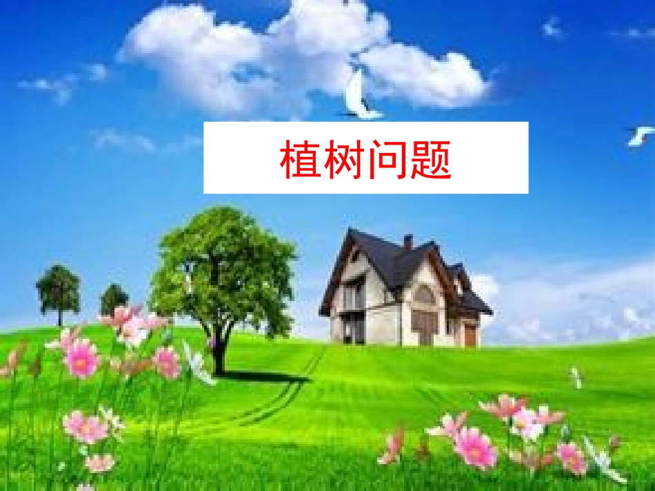 植树问题(奥数,自制)_第1页