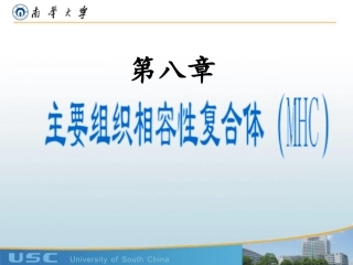 医学免疫学- MHC