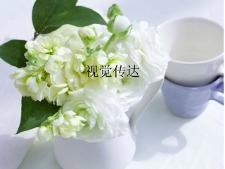 视觉传达设计与标志 视觉传达设计与标志