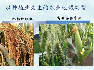 以种植业为主的农业地域类型优秀课件