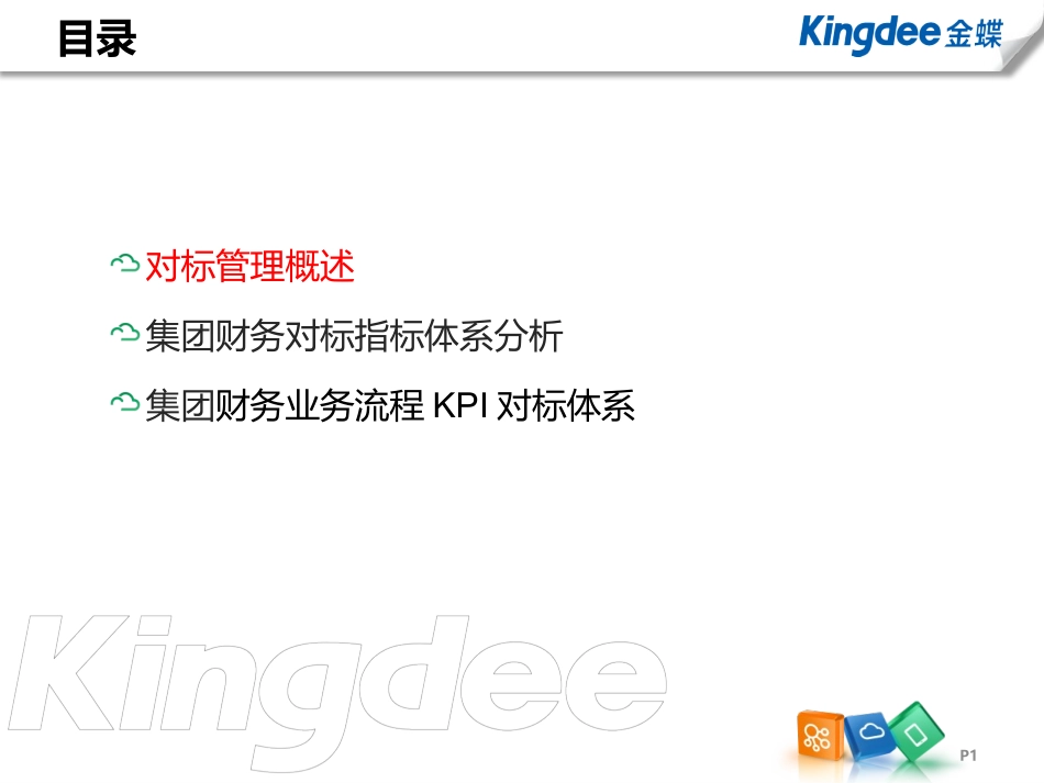 集团财务对标指标体系(KPI)_第1页