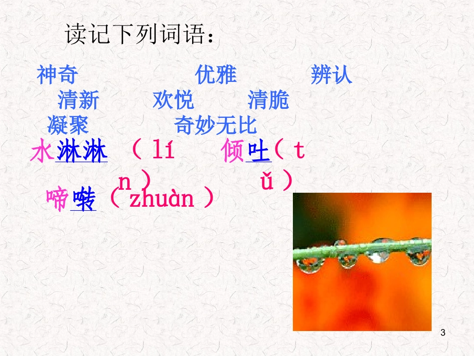 第2课《山雨》课件_第3页