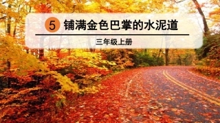 铺满金色巴掌的水泥道 (2)