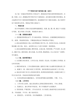 学校中层干部考核方案