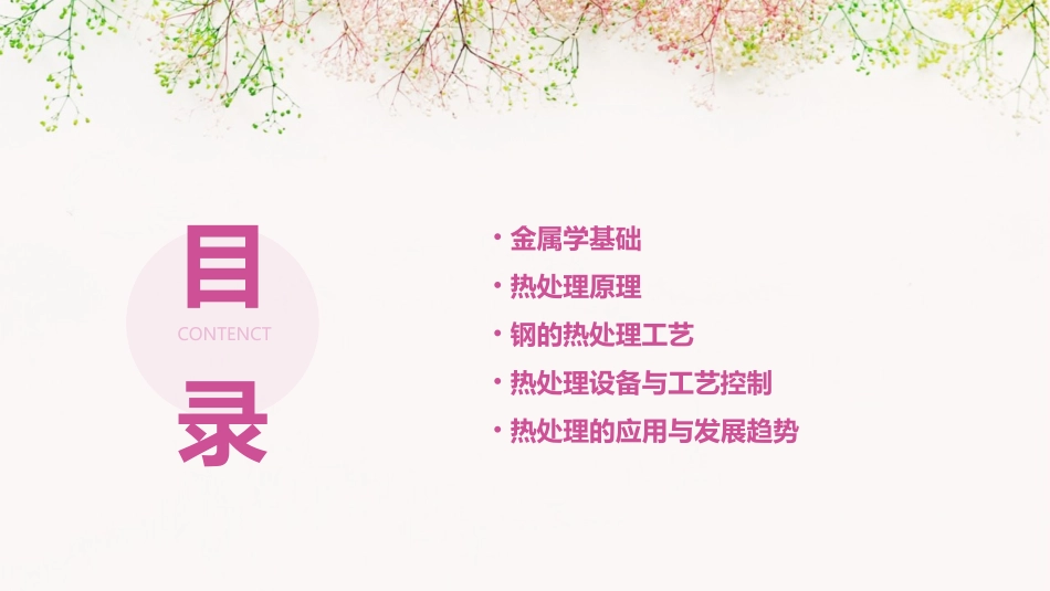 金属学及热处理钢的热处理工艺课件_第2页