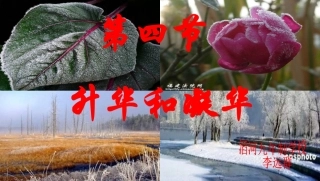 升华和凝华教学课件(全国公开课)