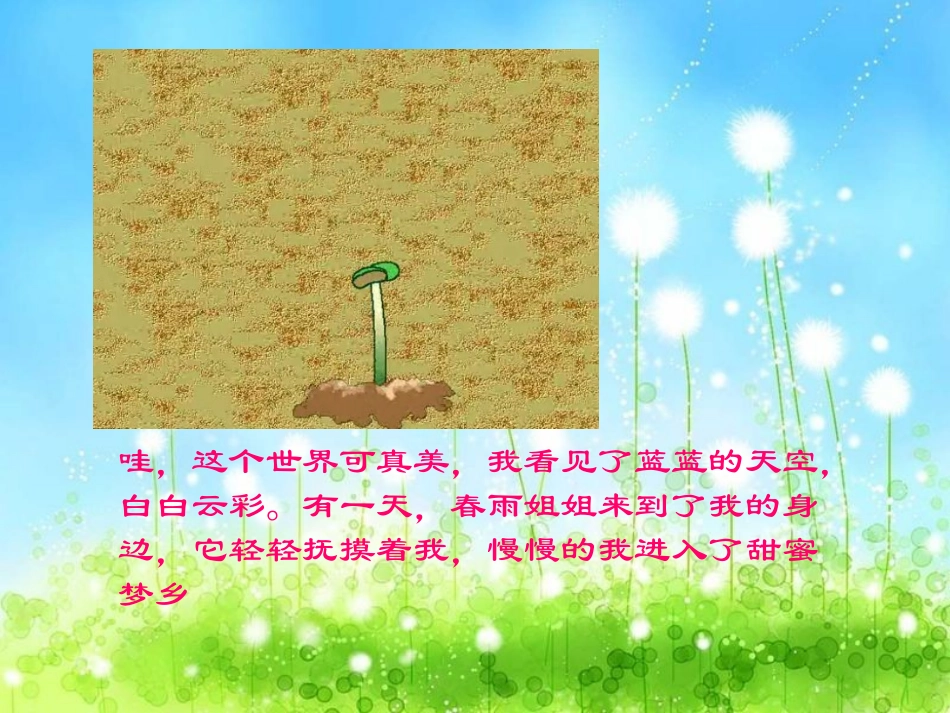 种子生长过程_第2页