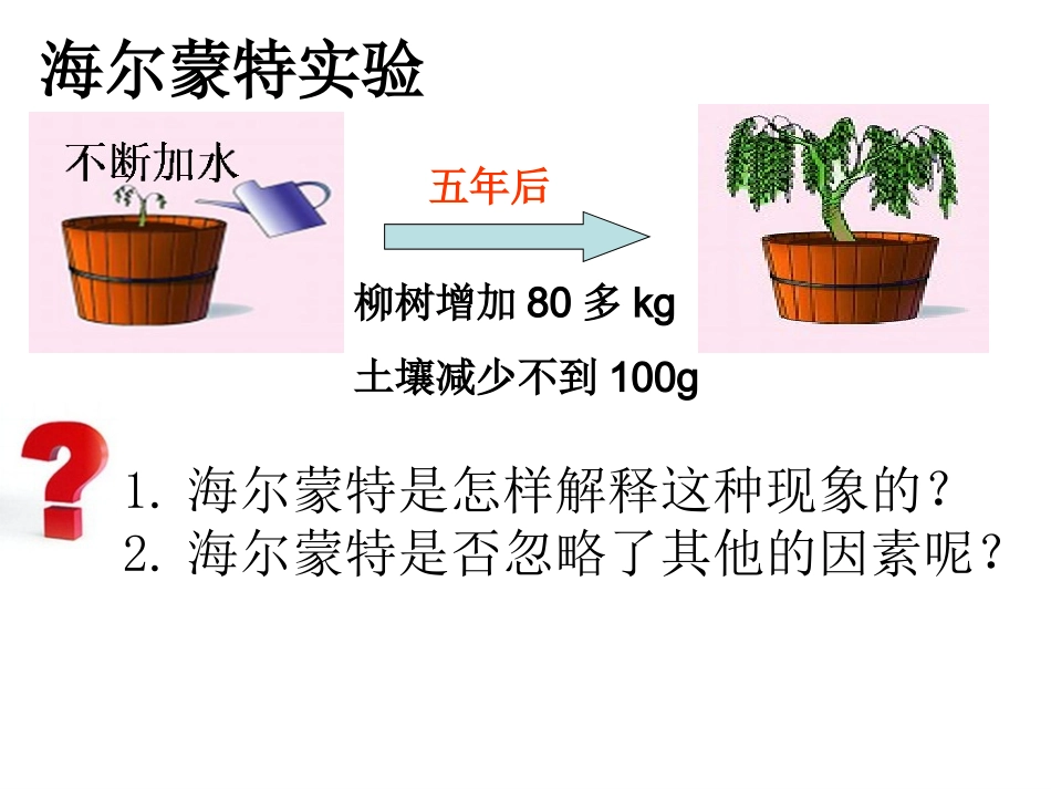 光合作用吸收二氧化碳释放氧气_第3页