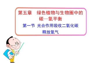 光合作用吸收二氧化碳释放氧气