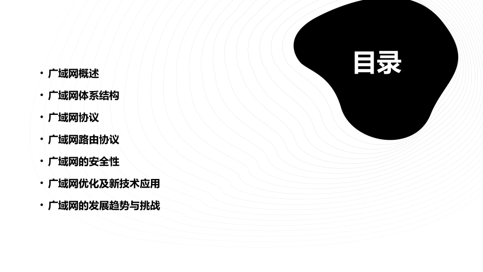 广域网及其体系结构要点课件_第2页