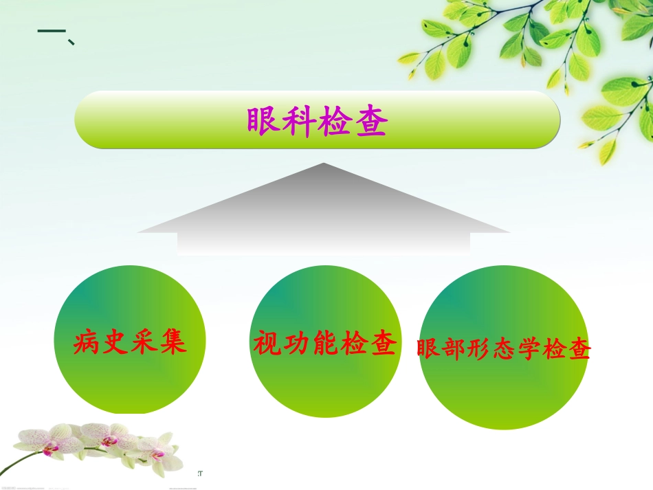 眼科检查和常用数值_第3页