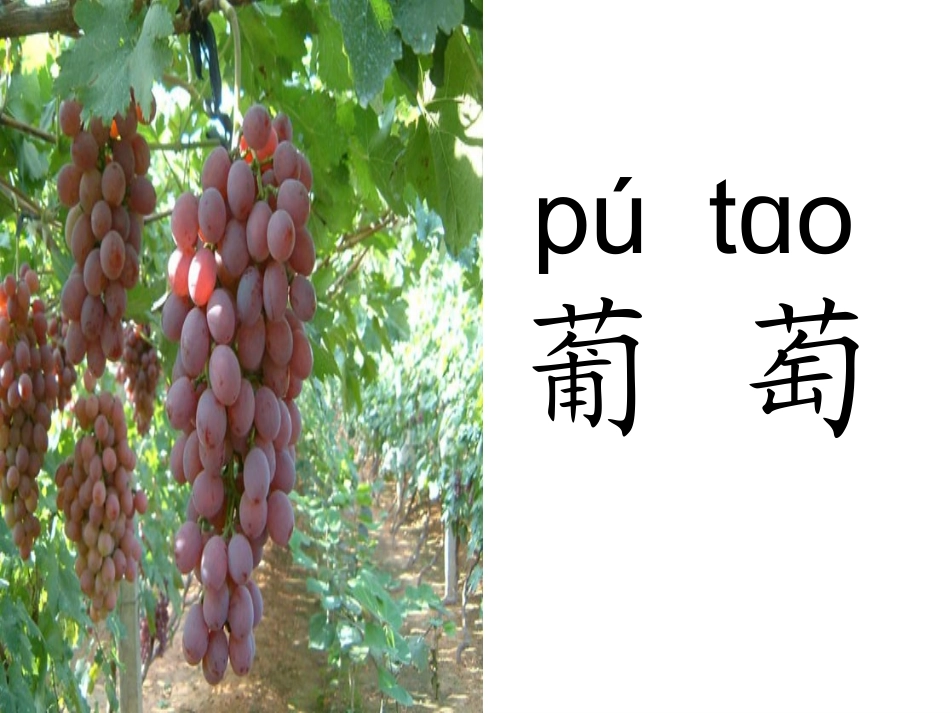 酸的和甜的PPT课件(14)_第3页