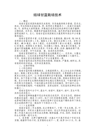结球甘蓝栽培技术