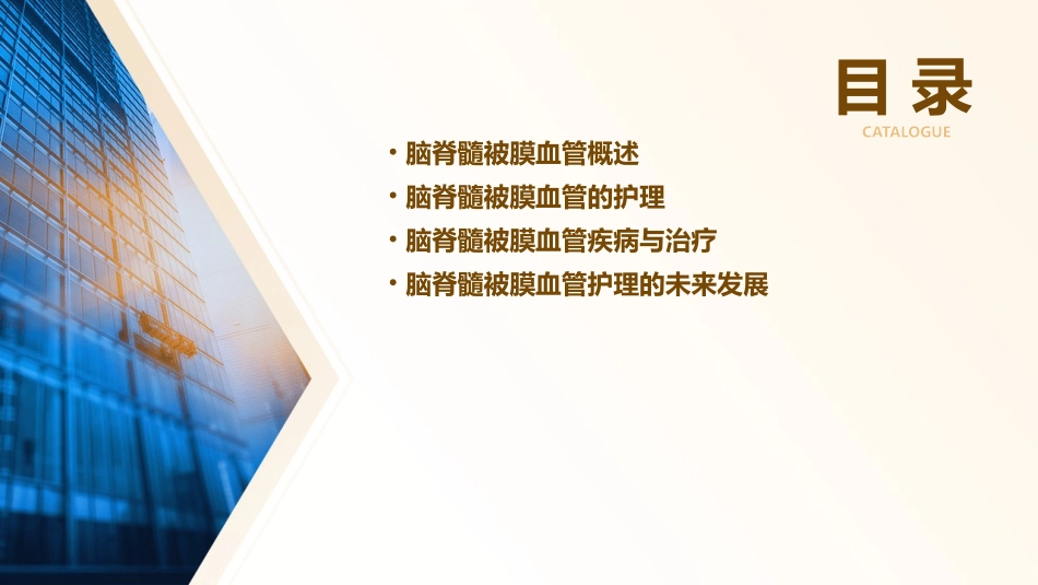 人体解剖学之脑脊髓被膜血管护理课件_第2页