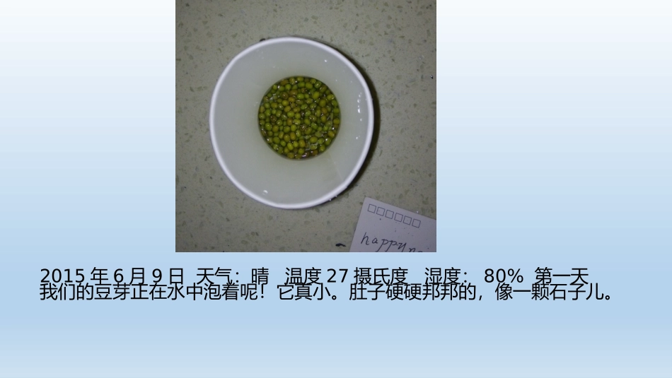 小豆芽的生长过程观察日记_第2页