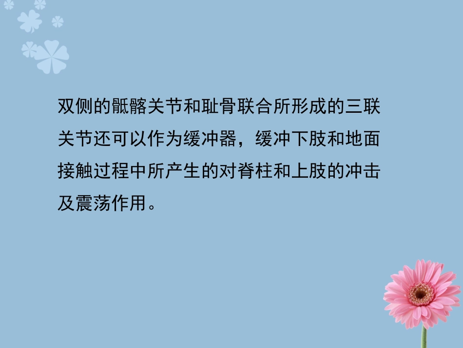 骨科检查与评估第十章—骨盆_第3页