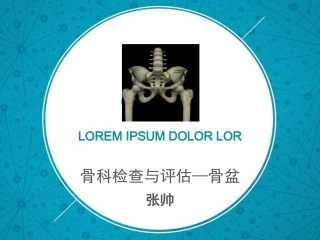 骨科检查与评估第十章—骨盆