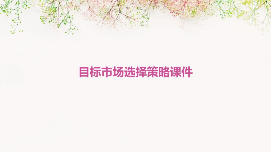 目标市场选择策略课件_第1页