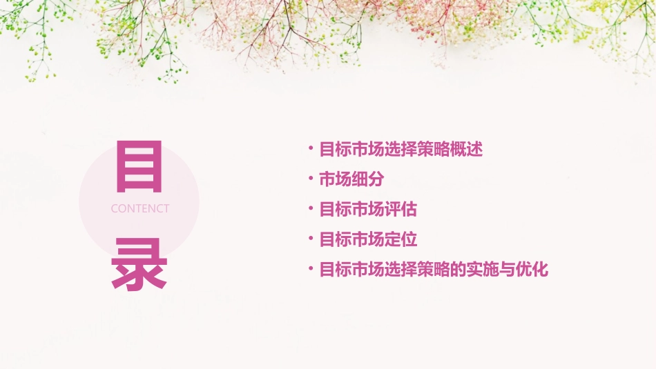 目标市场选择策略课件_第2页