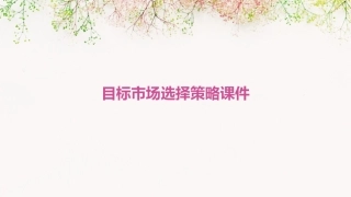 目标市场选择策略课件